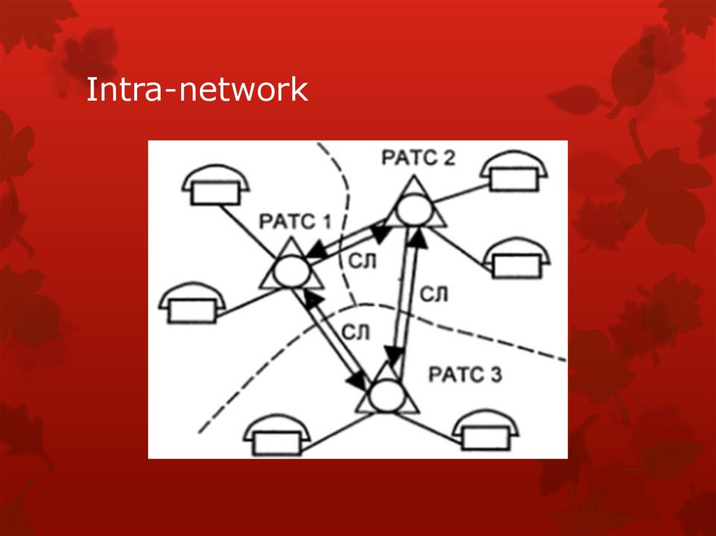 Intra-network