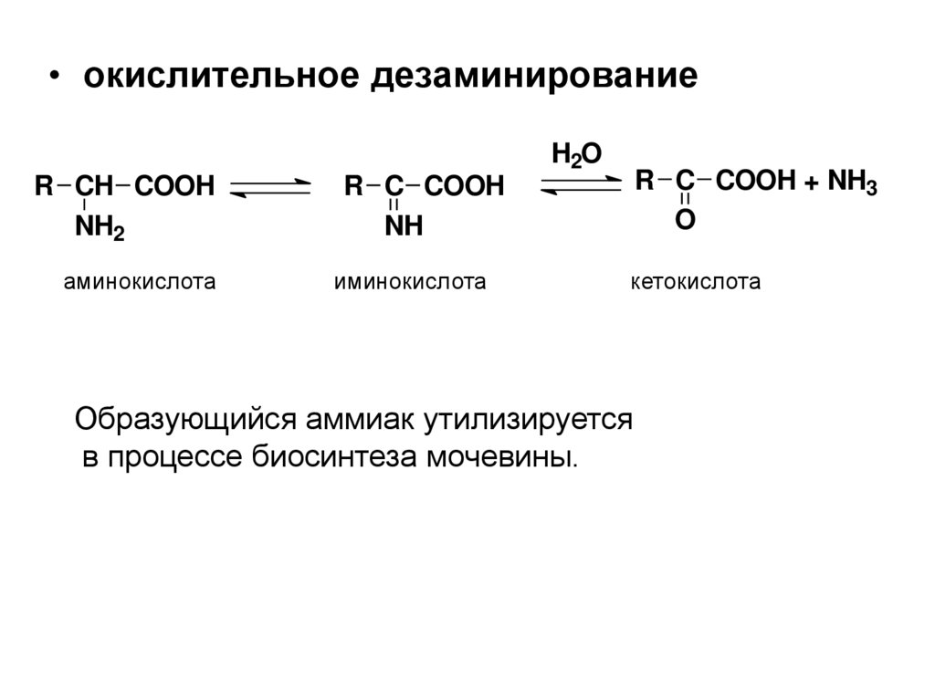 В результате дезаминирования образуется. Окислительное дезаминирование общая реакция. Реакция окислительного дезаминирования глицина. Общая схема реакций дезаминирования аминокислот. Реакция дезаминирования глутаминовой кислоты.