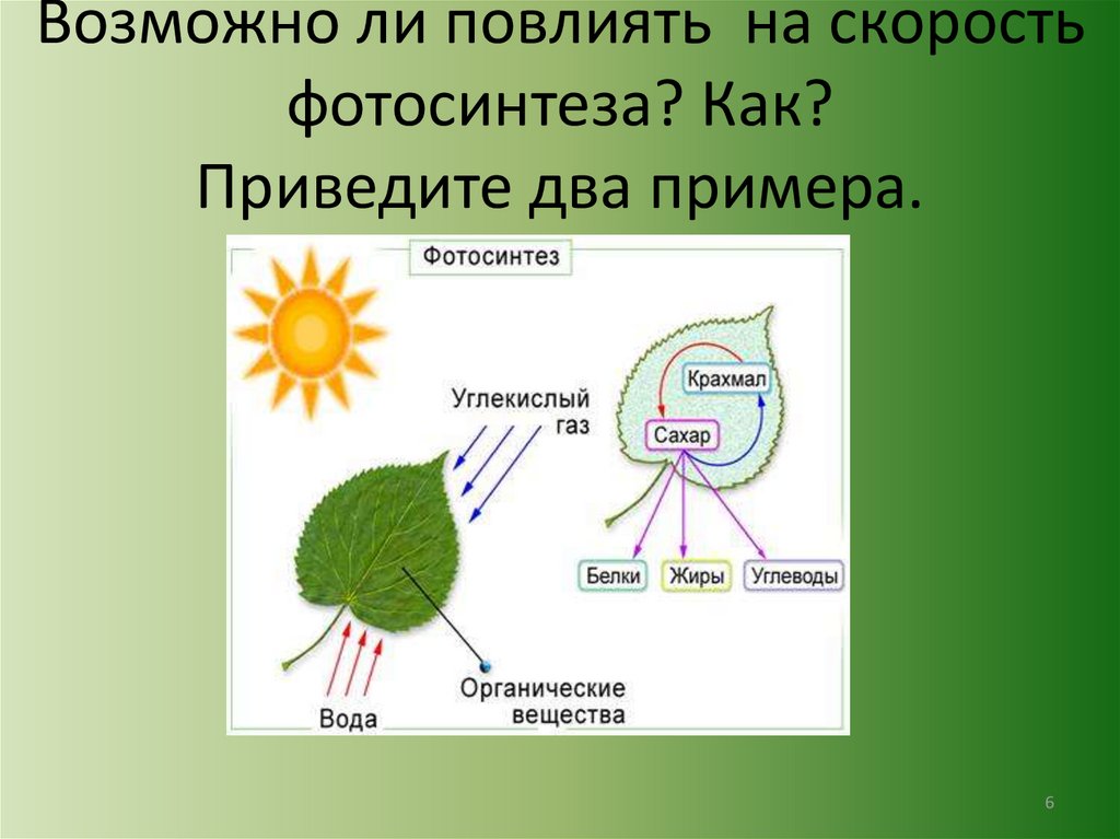 Часть растения необходимая для фотосинтеза. Биология 9 класс Биосинтез углеводов фотосинтез. Биосинтез углеводов фотосинтез схема. Биосинтез углеводов биология 9 класс. Фотосинтез растений 2 класс биология.
