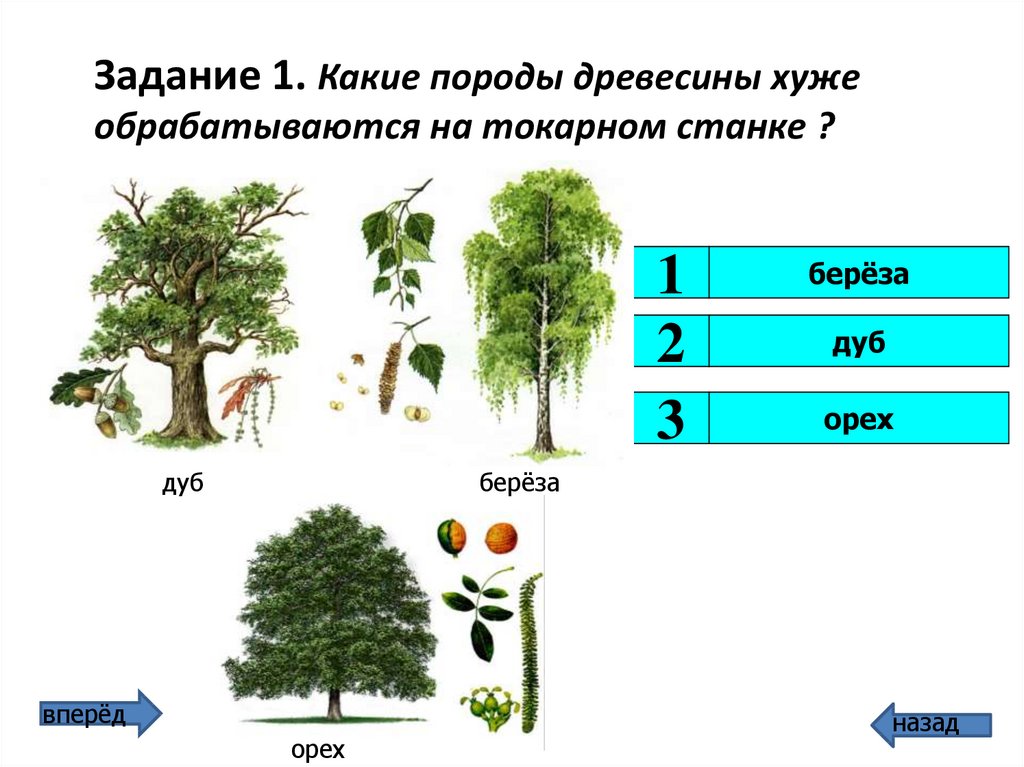 Статистика 8 класс тема дерево