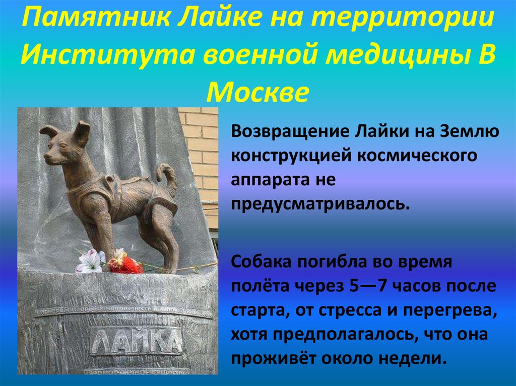 Памятник Лайке на территории Института военной медицины В Москве