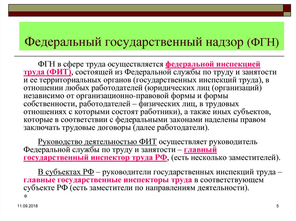 Федеральный государственный пожарный надзор презентация