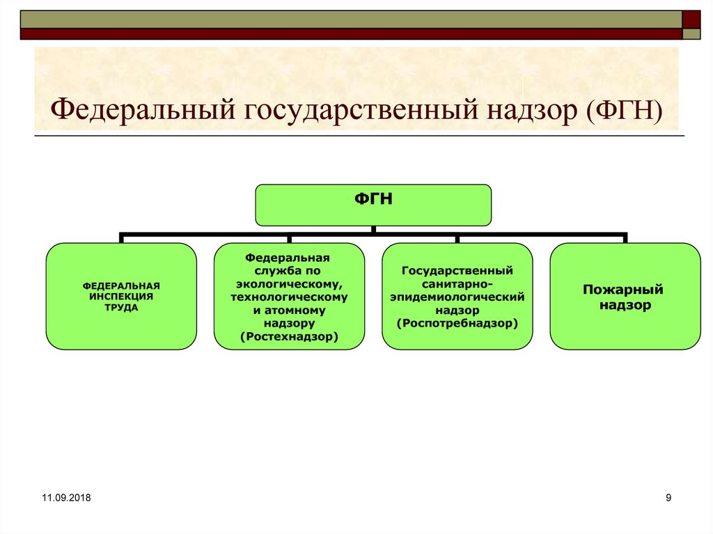 Федеральный государственный пожарный надзор презентация