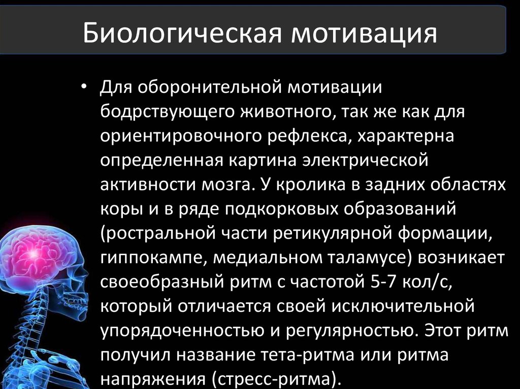 Биологический мотив