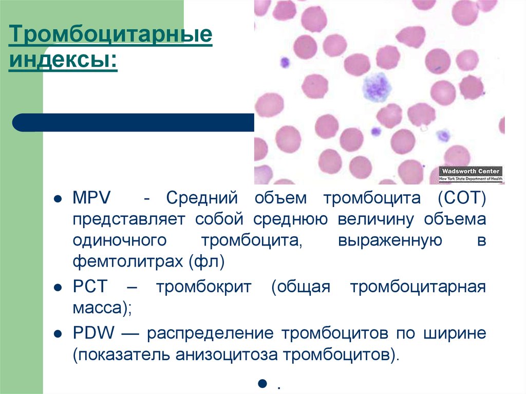 Распределение тромбоцитов повышен. Тромбоцитарные индексы. Тромбоцитарный индекс. Нормы тромбоцитарных индексов. Индекс распределения тромбоцитов.