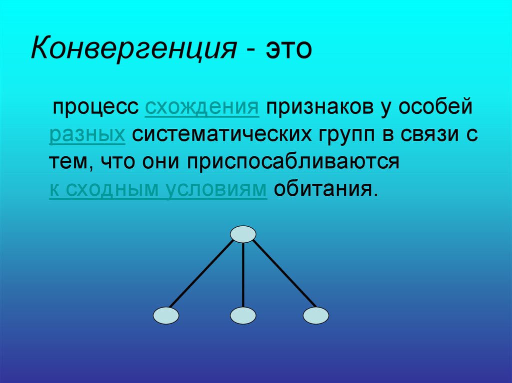 Конвергенция это. Конвергенция. Термин конвергенция. Конвергенция это кратко. Конвергентные процессы.