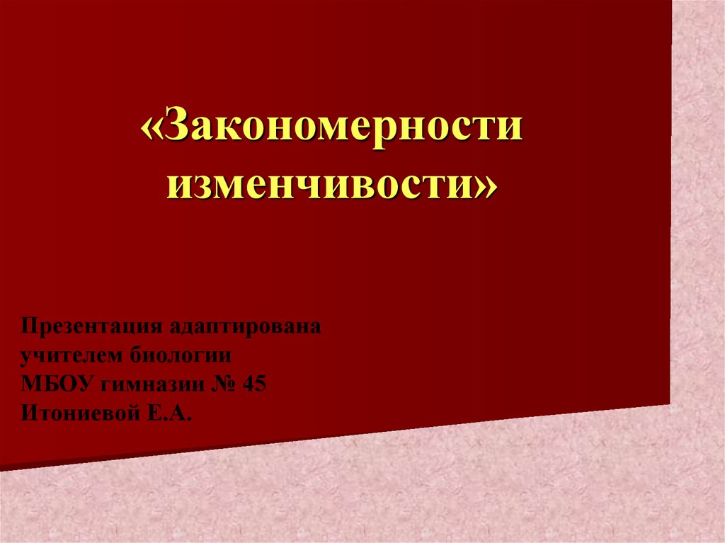 Закономерности изменчивости презентация