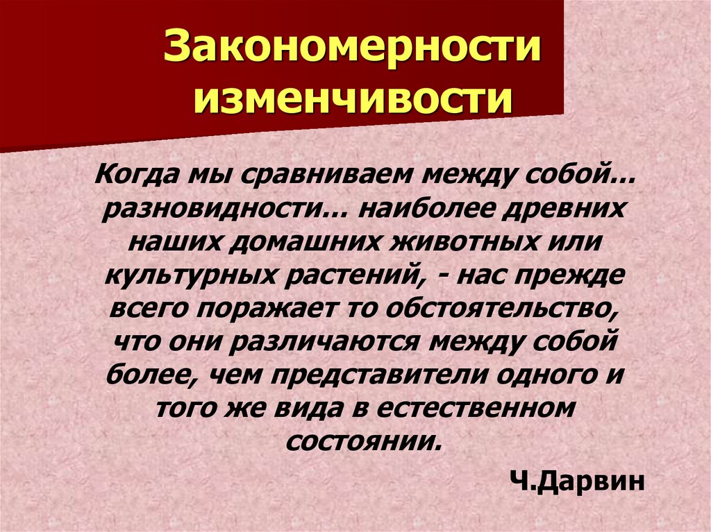 Закономерности изменчивости презентация