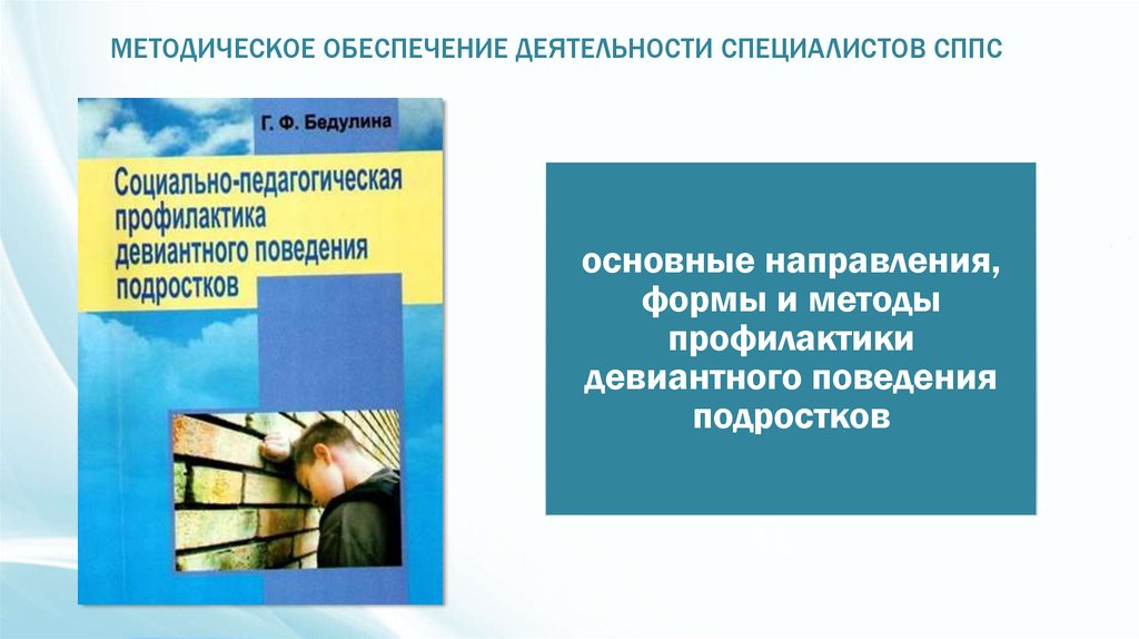 Методическое обеспечение деятельности. Методическое обеспечение проектирования. Методическое обеспечение у юристов. Е. А Шашенкова методическое обеспечение. Специалисты СППС расшифровка.