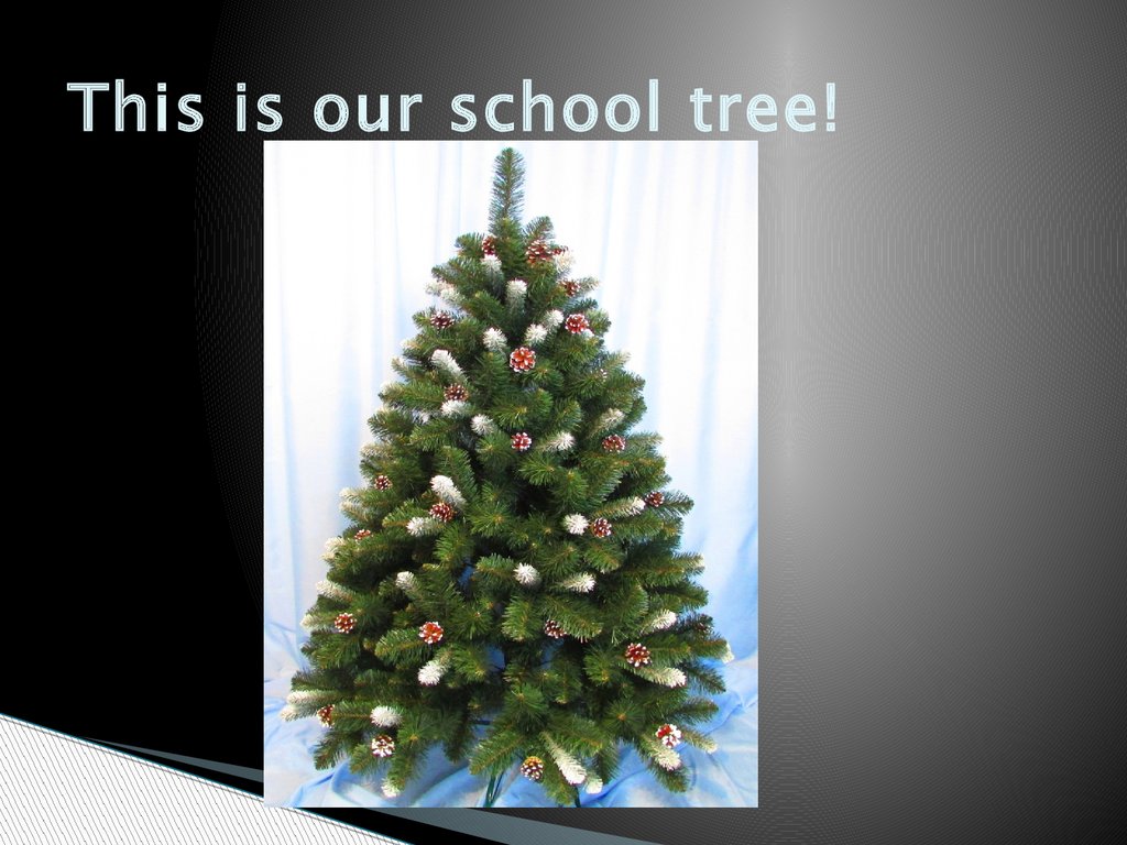This is our school tree!