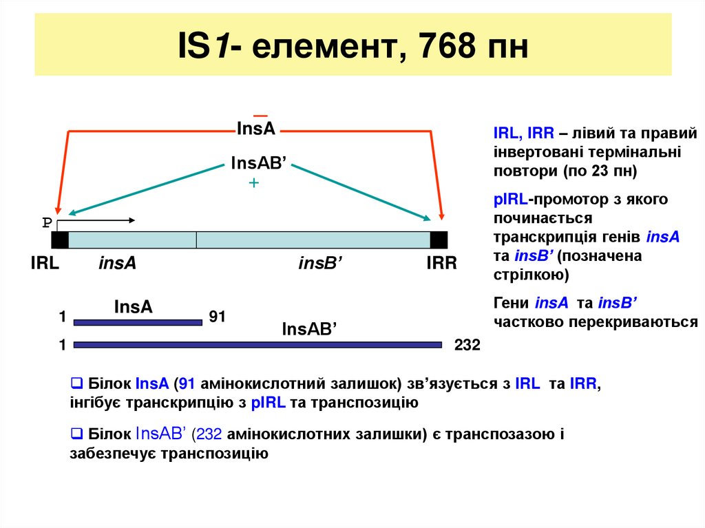 IS1- елемент, 768 пн