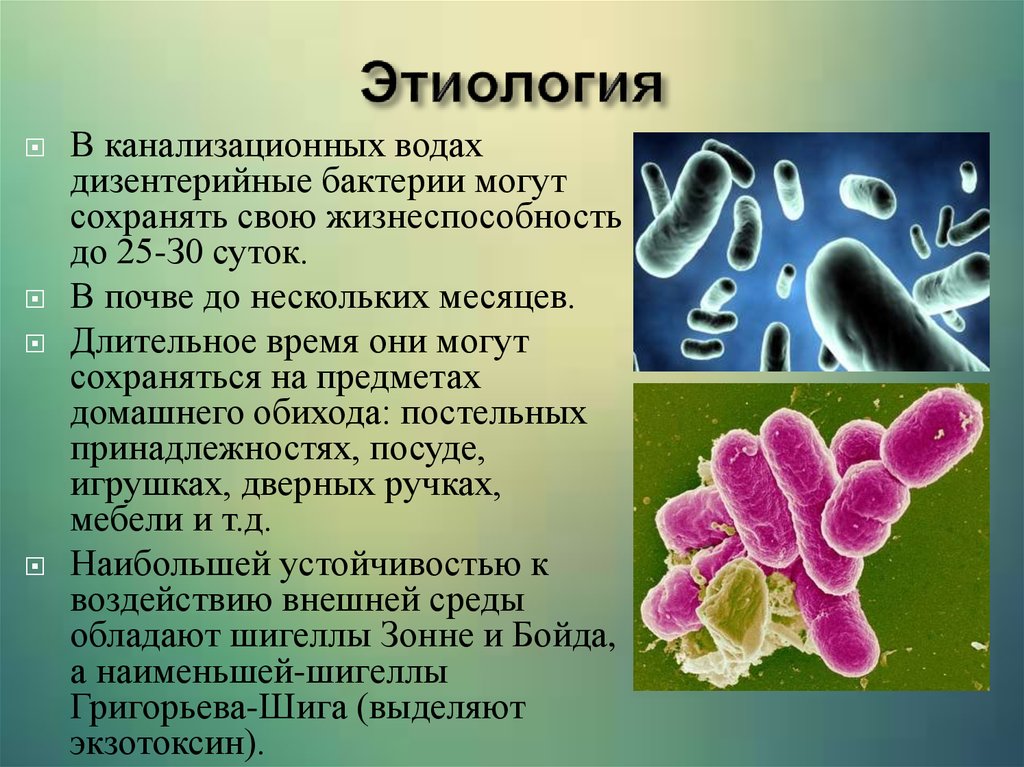 Жизнеспособность бактерий