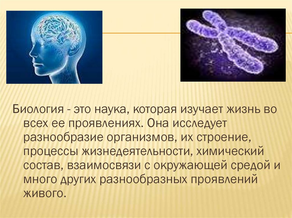 Для изучения живой природы ученому биологу необходимо. Биологияэто наука которая ищучает. Биология это наука изучающая. Информации по биологии. Биология это наука изучающая жизнь во всех ее проявлениях.