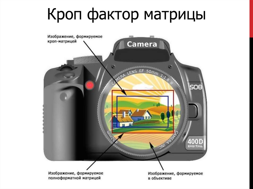 Карта для фотоаппарата nikon