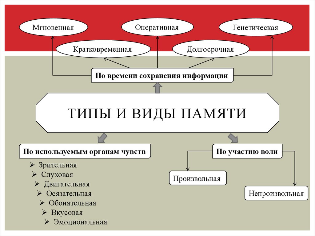 Вид памяти характеризующийся ограниченным временем хранения информации