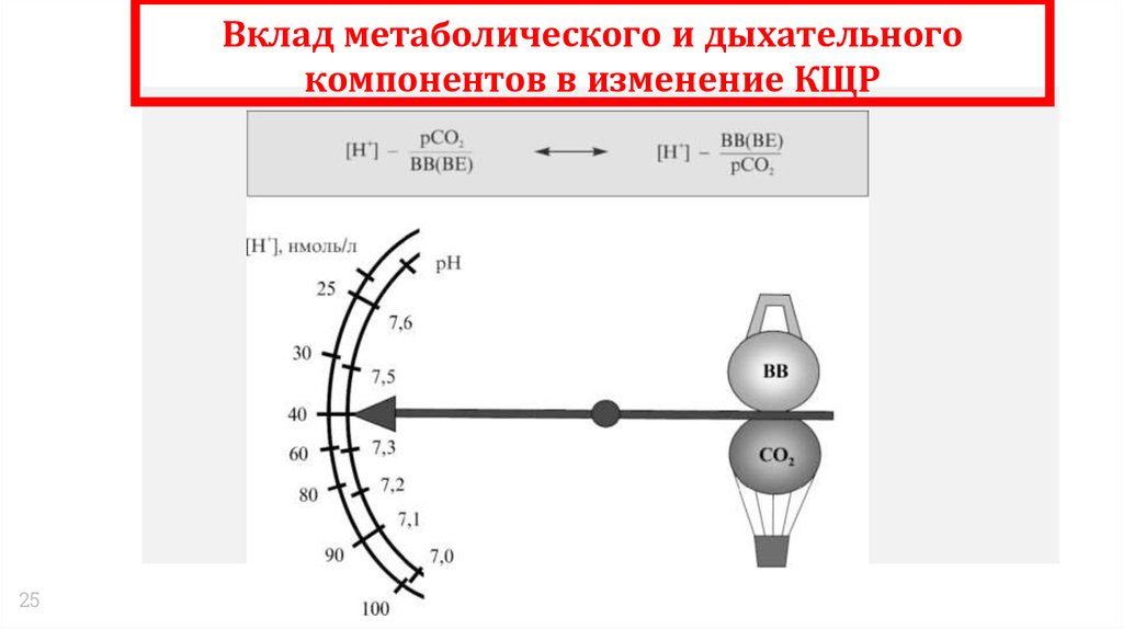 Презентация на тему кислотно щелочное равновесие