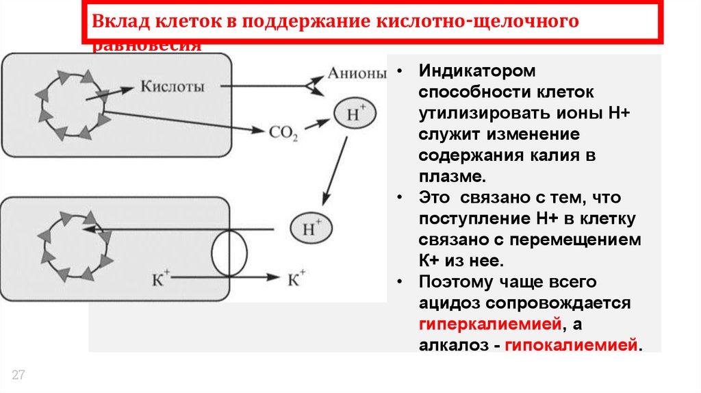 Щелочная реакция крови