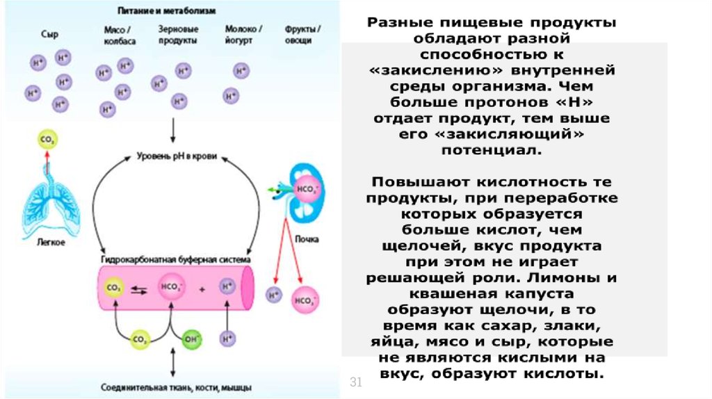 Презентация на тему кислотно щелочное равновесие