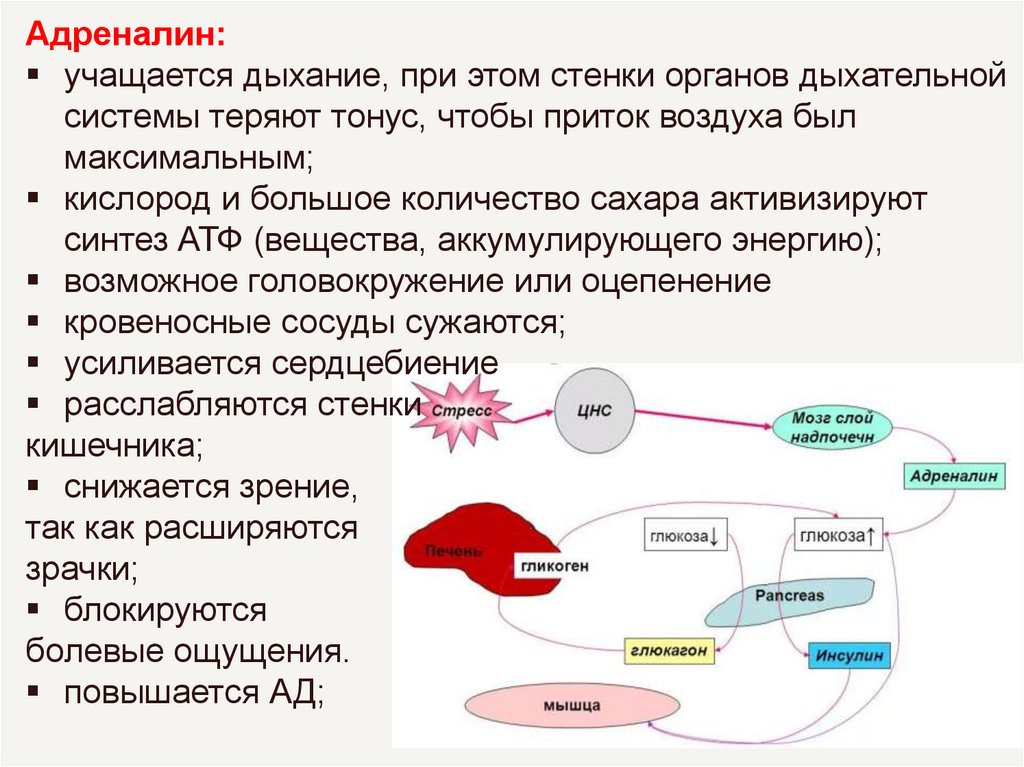 Дыхание участилось