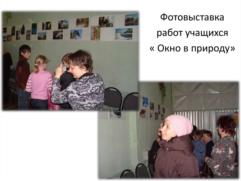 Проект « Окно в природу»