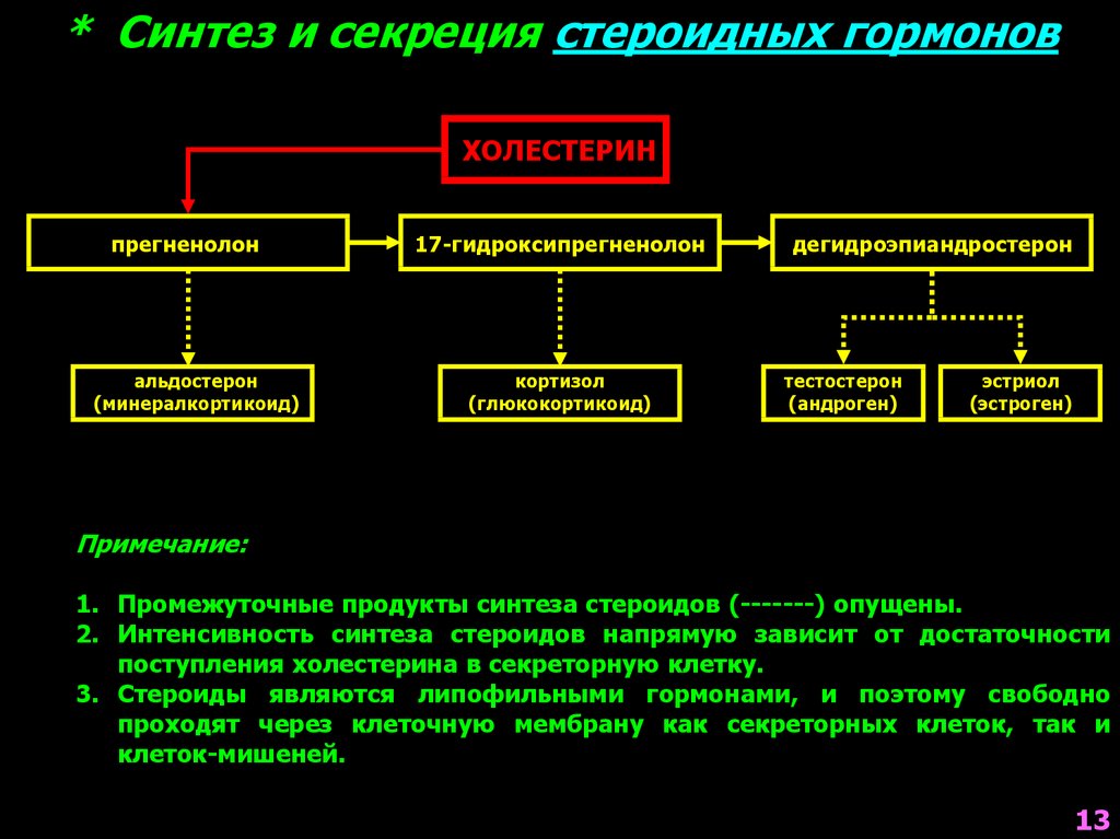 Стероидный синтез. Андрогены регуляция секреции. Альдостерон патофизиология. Синтез стероидных гормонов из холестерина. Нейроэндокринная система патофизиология.