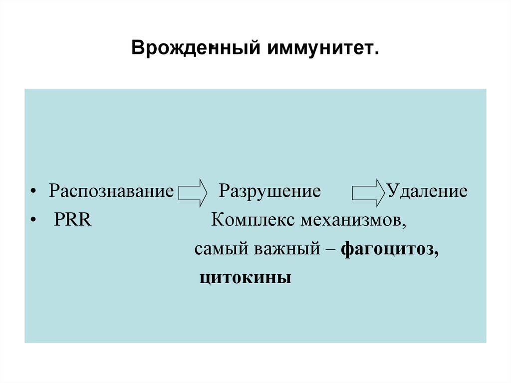 Врожденные рецепторы распознавания. Фагоцитоз врожденный иммунитет. Врожденный иммунитет распознает. Врожденная невосприимчивость. Рецепторы врожденного иммунитета.