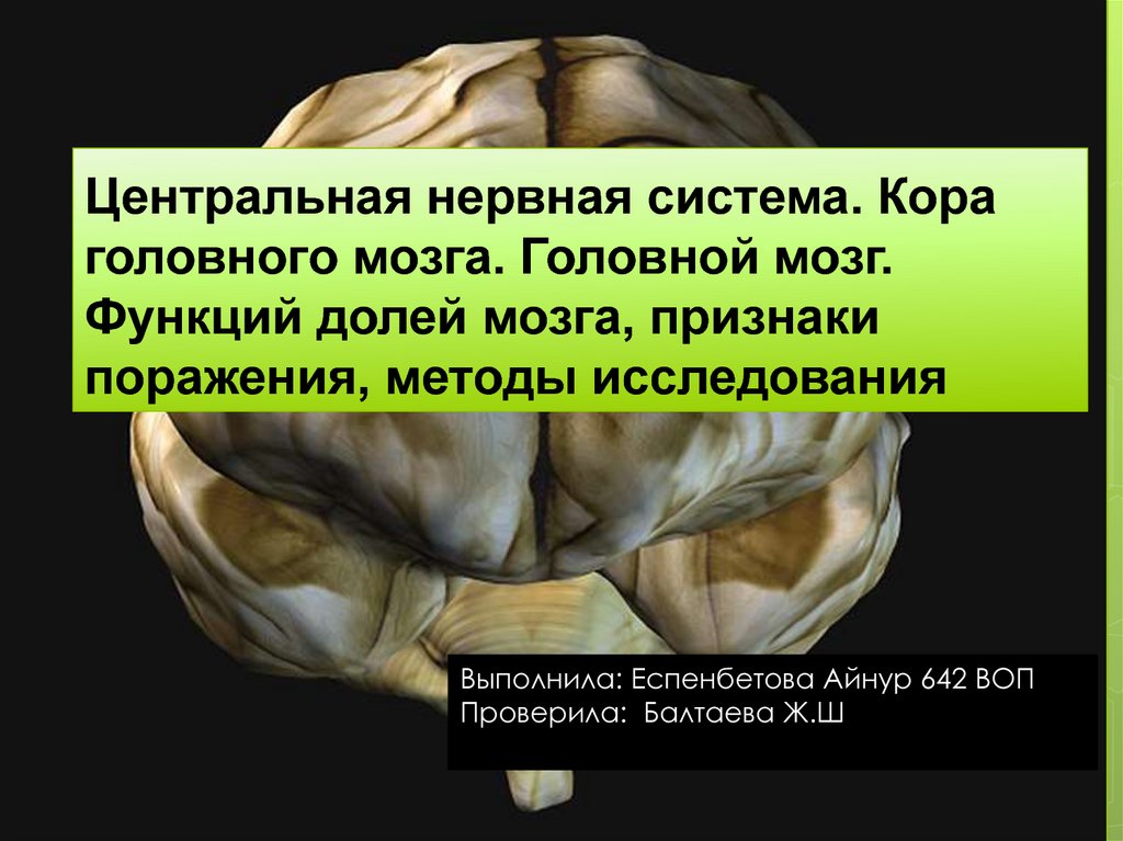 Поражение ствола головного. Симптомы поражения коры головного мозга. Гибель коры головного мозга. Методы исследования коры головного мозга. Атрофия центральной нервной системы.