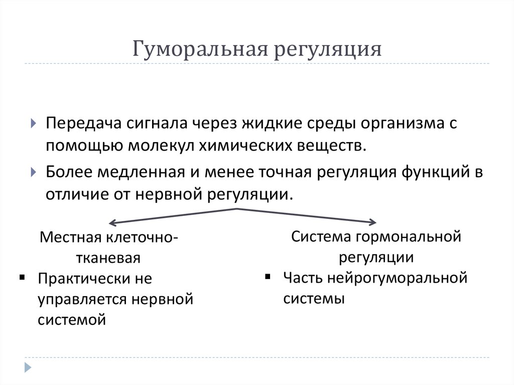 Гуморальная регуляция организма человека