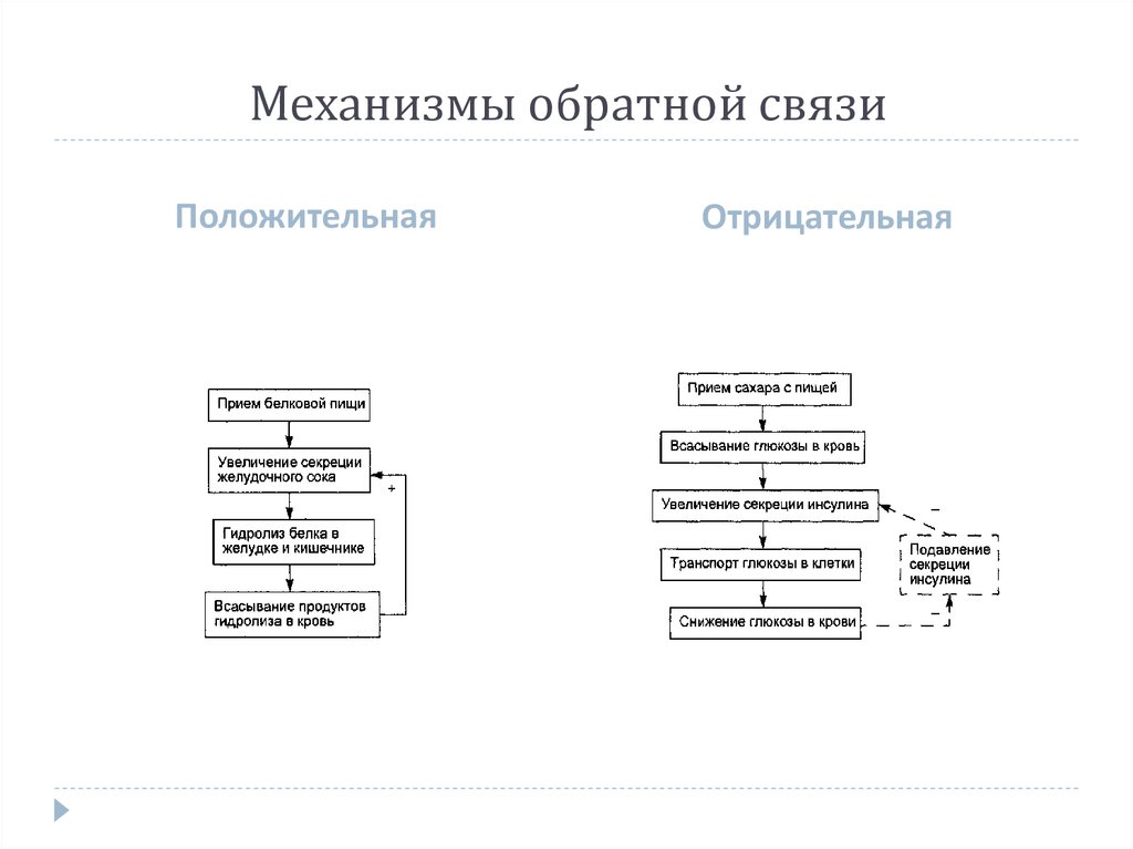 Схема механизма обратной связи