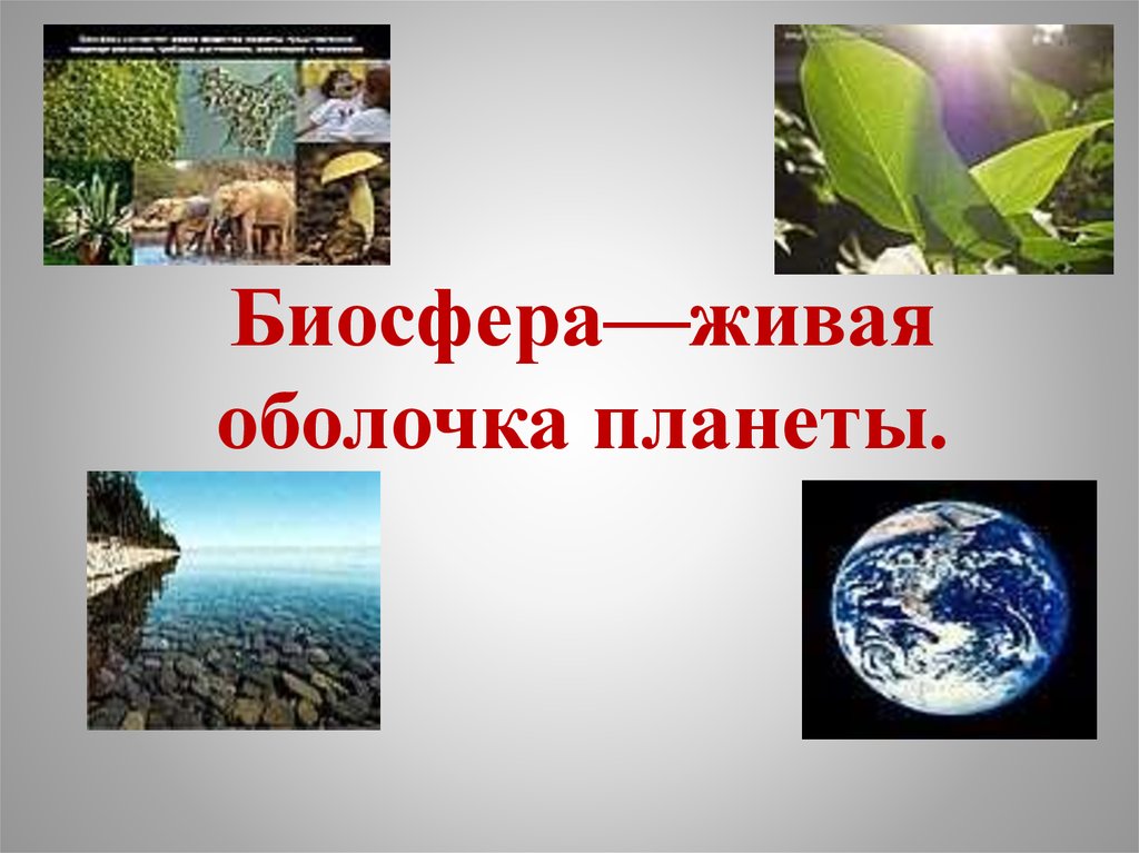 Живая планета текст. Биосфера. Живая оболочка земли. Живая оболочка планеты. Биосфера земли.