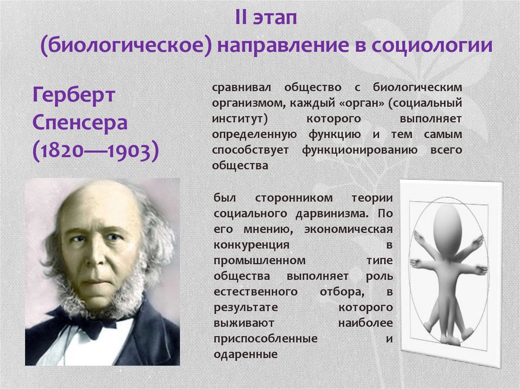 Этап биология. Биологическое направление в социологии. Органическое направление в социологии. Биологическое направление в культурологии. Основоположником биологического направления в социологии.