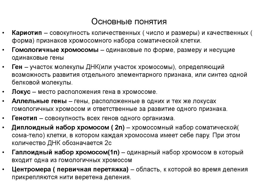 Основные понятия