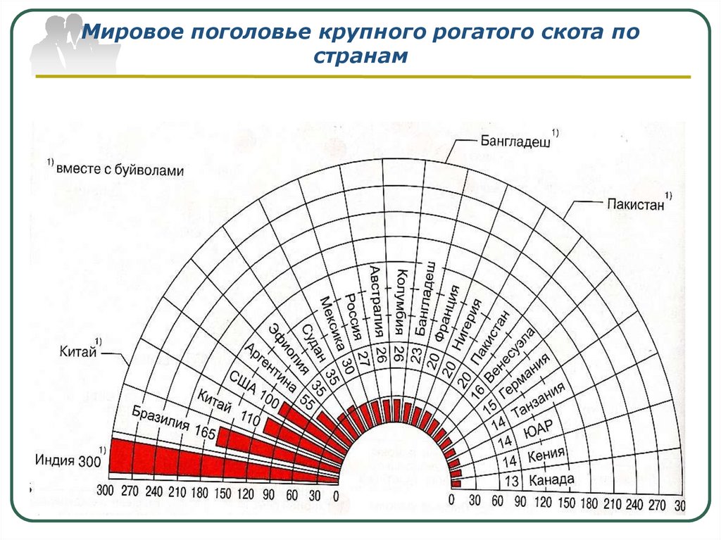 Страны лидеры по производству крупного рогатого скота. Страны с поголовьем крупного рогатого скота. Мировое поголовье КРС. Страны Лидеры по поголовью крупного рогатого. Страны по количеству КРС.