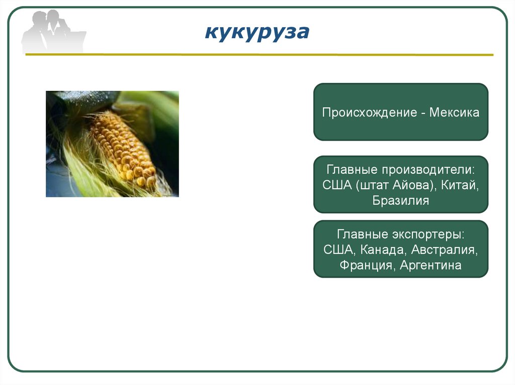 Тонизирующие культуры презентация