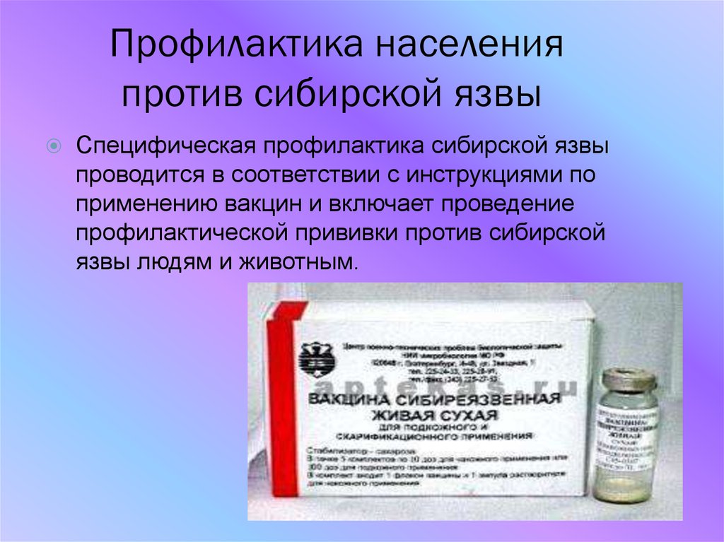 Вакцина 55 внииввим