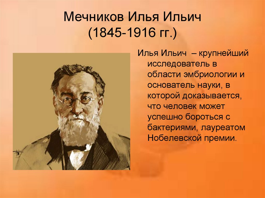 Что создал мечников в биологии. Ильи Ильича Мечникова (1845—1916).