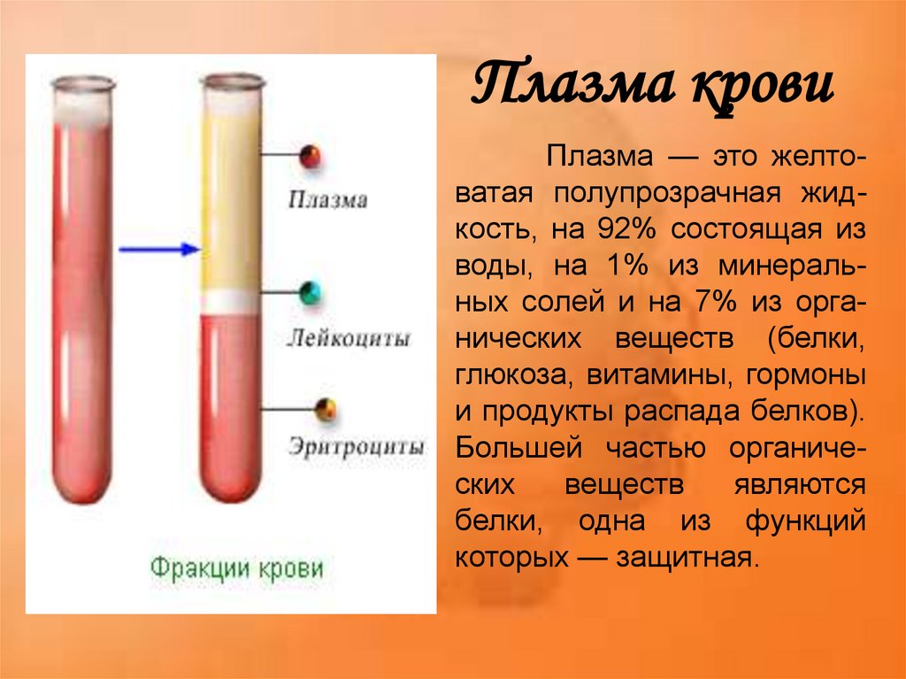 Сыворотка крови биологических. Плазма крови. Плазма крови состоит из. Плазма и сыворотка крови. Плазма в человеческой крови.