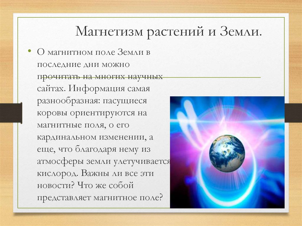 Что такое магнетизм. Магнетизм. Магнетизм и магнитное поле земли. Растения и магнитное поле земли. Магнетизм физика.