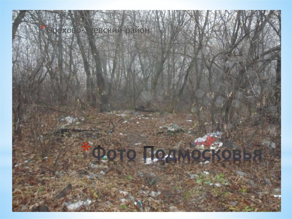 Фото Подмосковья
