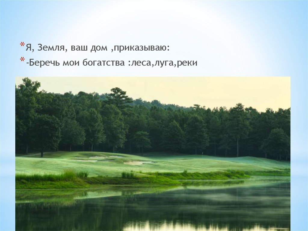 Лес Луга цитаты. Ваша земля. Как можно описать небо, Луга и реку. За лесом луг и речка сочинение.