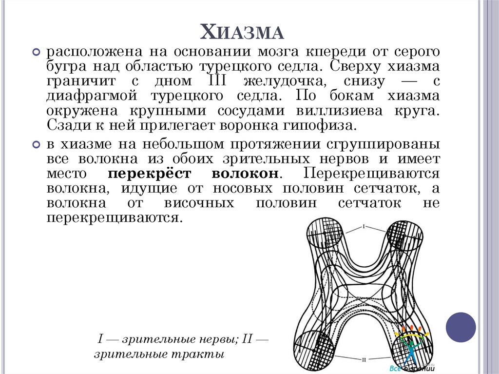 Хиазм это в литературе