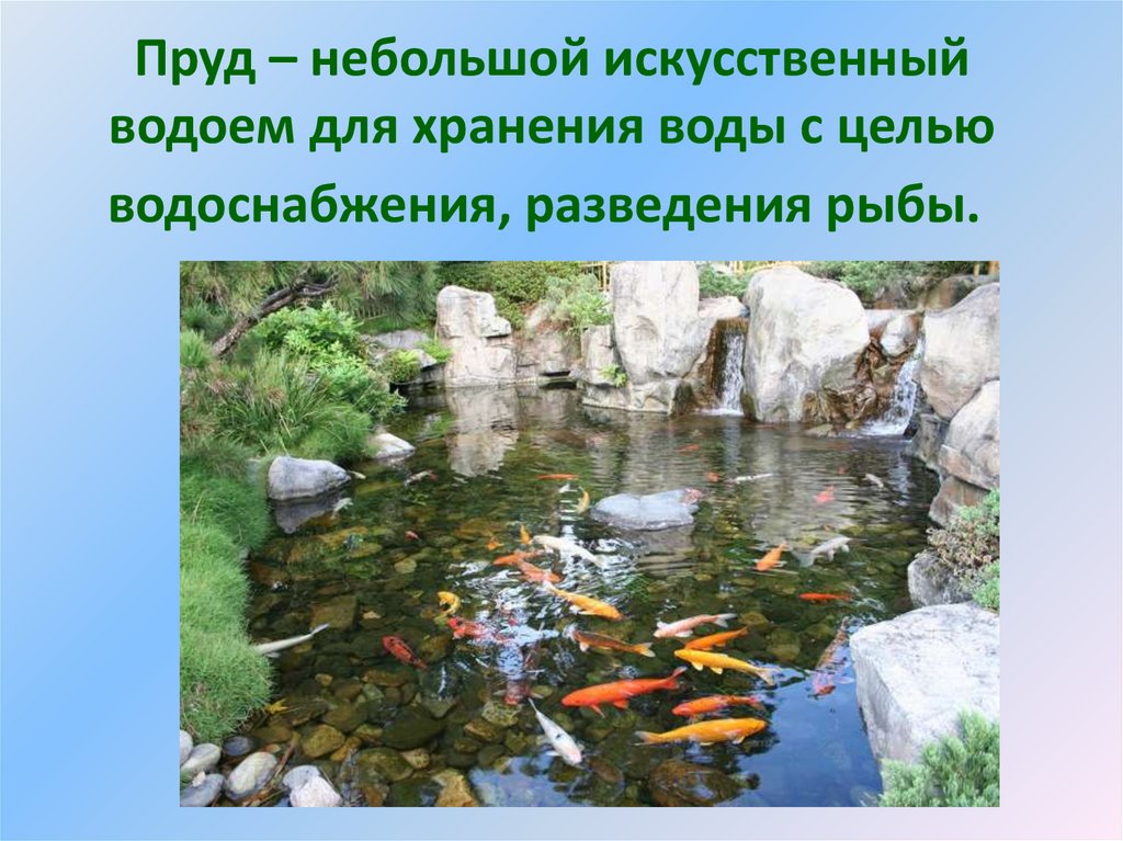 Водоемы их разнообразие океан море озеро пруд река как водный поток 4 класс презентация