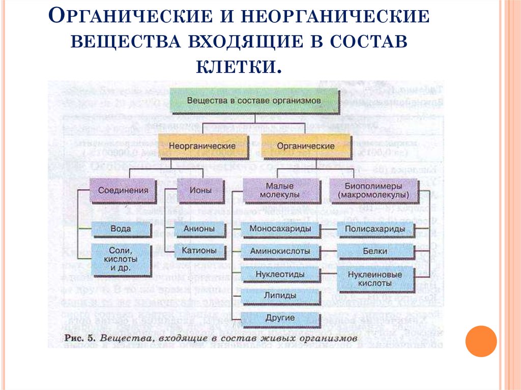 Состав органических веществ