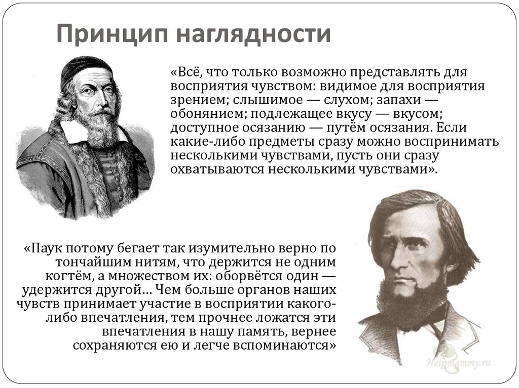 Представить какую либо. Принцип наглядности. Принцип наглядности в обучении. Принцип наглядности в педагогике. Принцип наглядности обучения в педагогике.