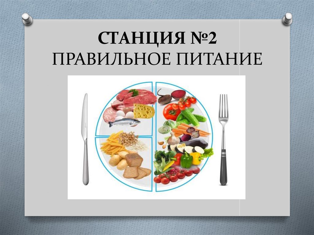 СТАНЦИЯ №2 ПРАВИЛЬНОЕ ПИТАНИЕ