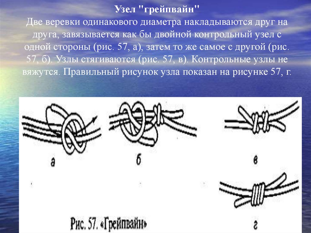 Рисунок узла грейпвайн