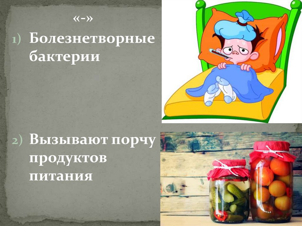 Порча продуктов. Бактерии вызывают порчу продуктов питания. Болезнетворные бактерии вызывают порчу продуктов питания. Микробы вызывающие порчу продуктов. Какие микроорганизмы вызывают порчу.