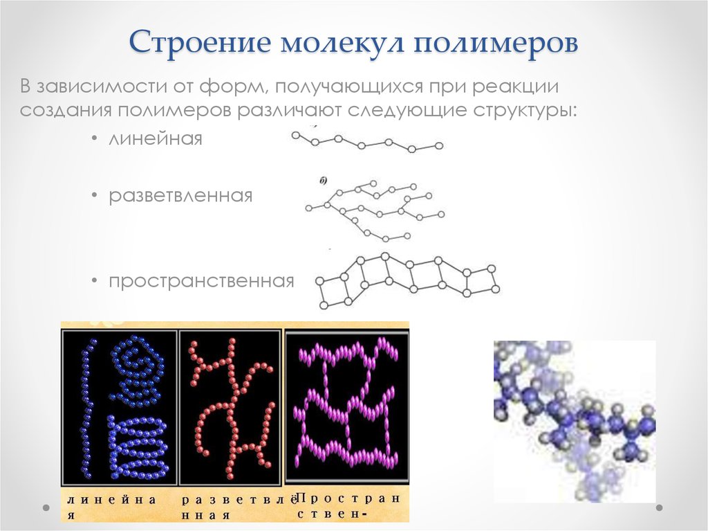 Строение молекул полимеров