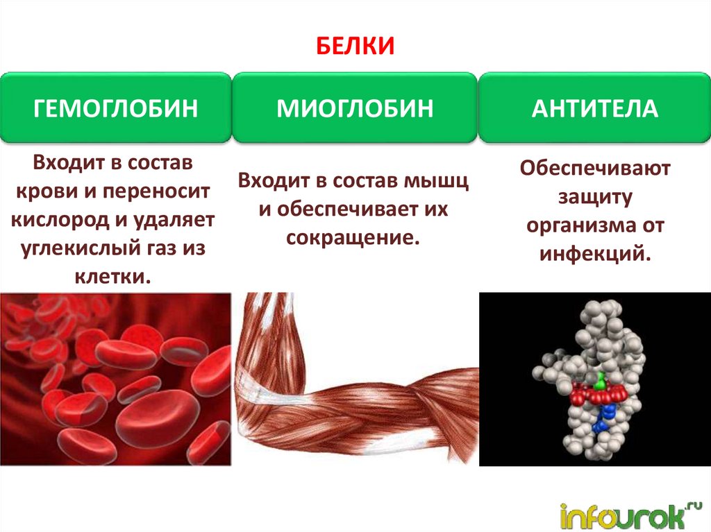 Гемоглобин презентация по химии