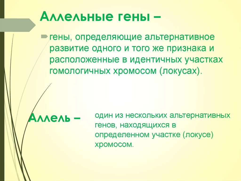 Гены расположенные в идентичных. Моногибридное скрещивание аллельные гены. Аллельных генов. Гены определяющие развитие одного и того. Гены определяющие альтернативное развитие.